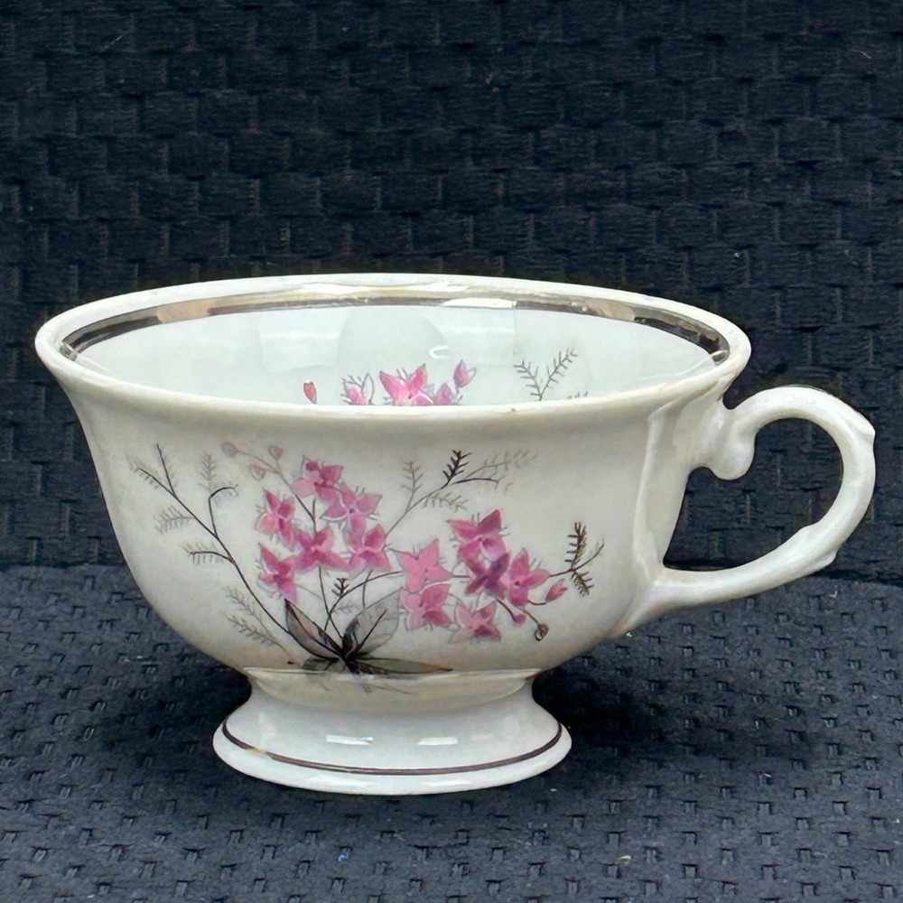 Karolina Poland China Teacup Pink Floral Silver Trim Vintage Porcelain 3879‎ 10